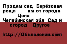 Продам сад “Берёзовая роща“. 1-2 км от города. › Цена ­ 170 000 - Челябинская обл. Сад и огород » Другое   